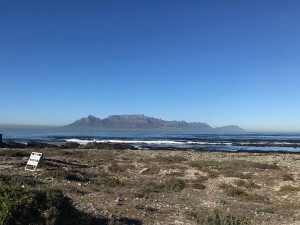 View from Robben Island.